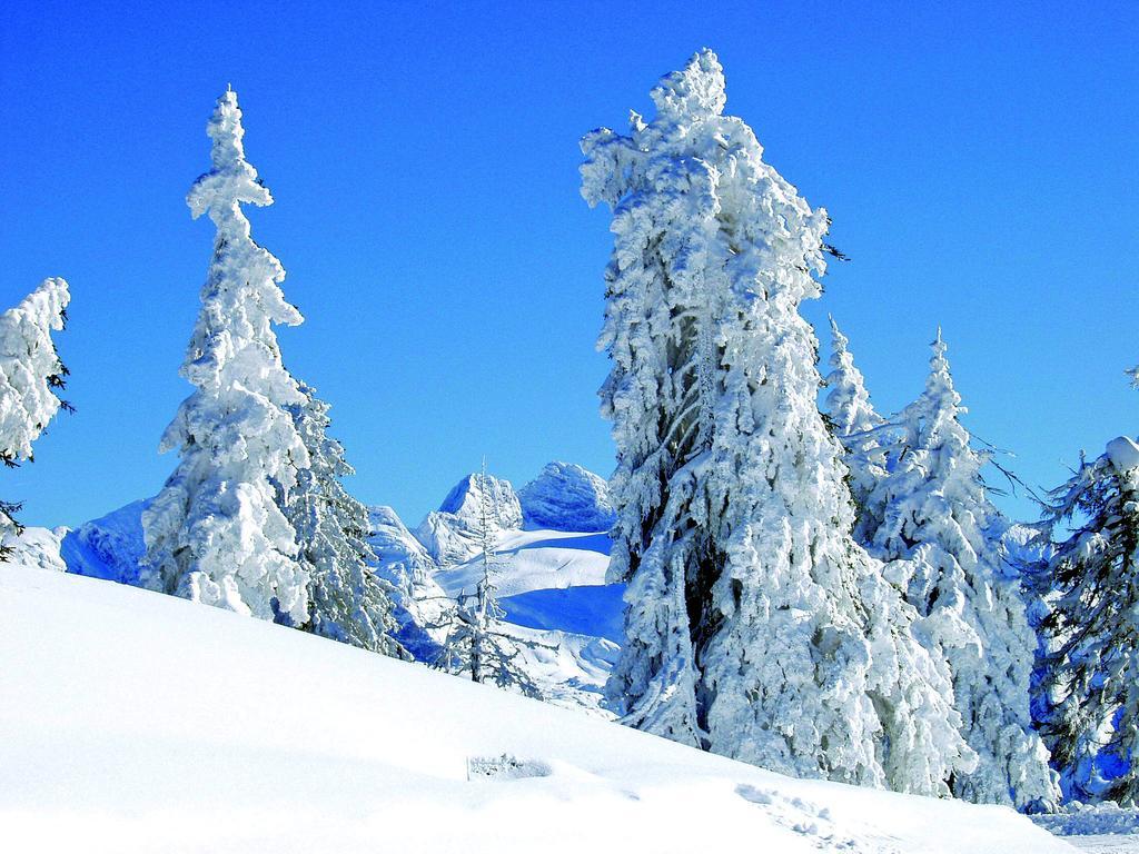 Landhaus Koller Gosau Kültér fotó