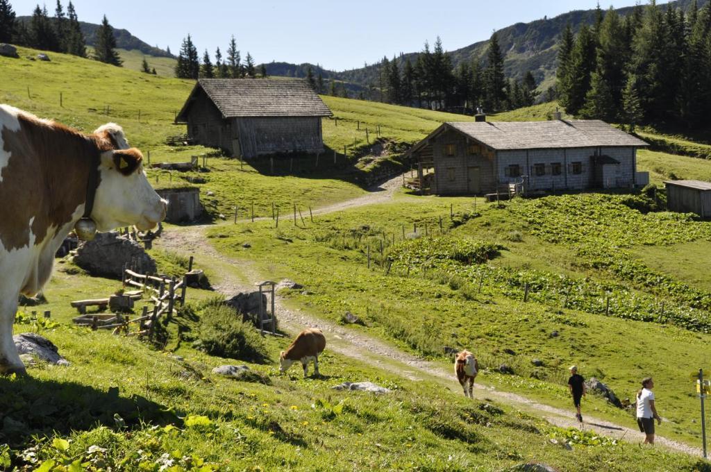 Landhaus Koller Gosau Kültér fotó